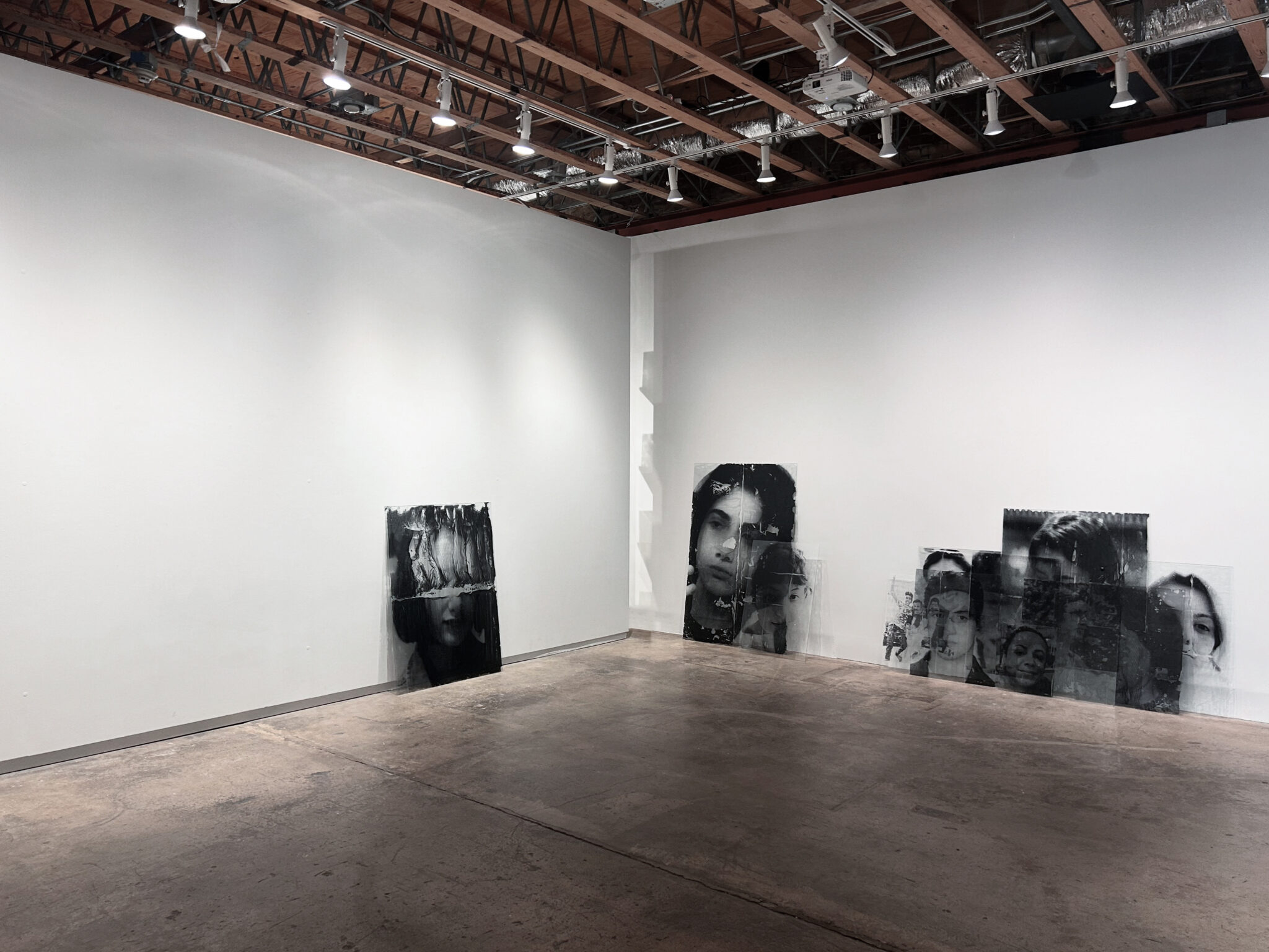 Mehrdad_Mirzaie _Garden (Installation View)01
